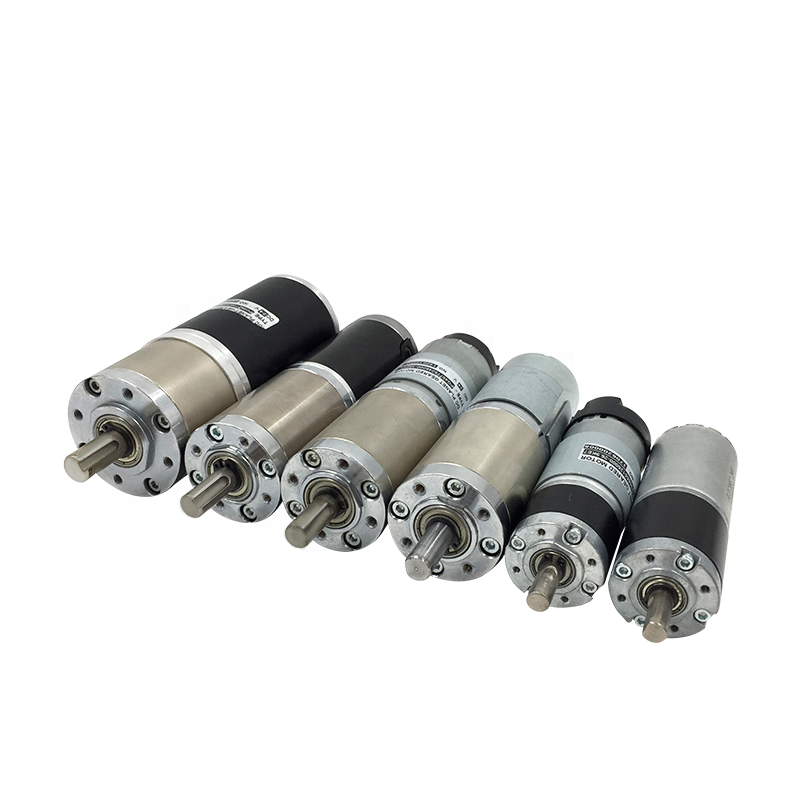 Motore Brushless BLDC con Ridu - Bldc Planetary Gear Motor 48V High Torque recensione e prezzo